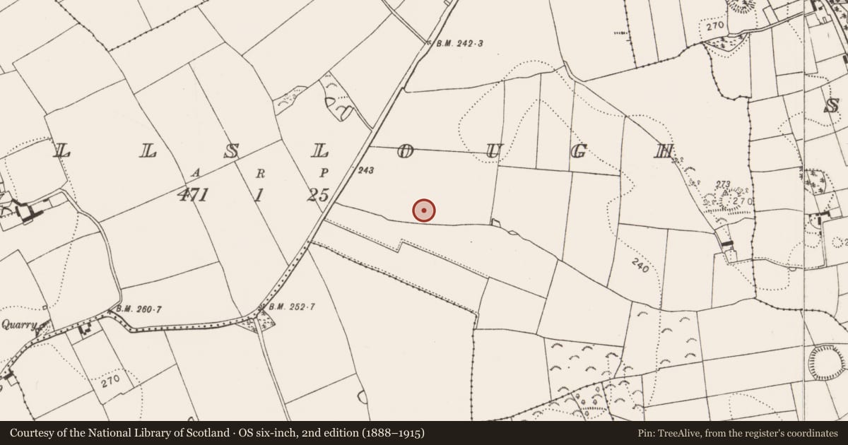 Ordnance Survey six-inch map, 2nd edition (1888–1915) covering the location of Enclosure, Wallslough, County Kilkenny, with a pin at the register's coordinates