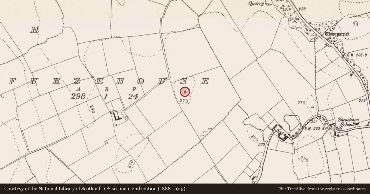 Ordnance Survey six-inch map, 2nd edition (1888–1915) covering the location of Enclosure, Furzehouse, County Kilkenny, with a pin at the register's coordinates