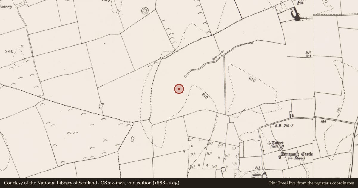 Ordnance Survey six-inch map, 2nd edition (1888–1915) covering the location of Burnt mound, Annamult, County Kilkenny, with a pin at the register's coordinates
