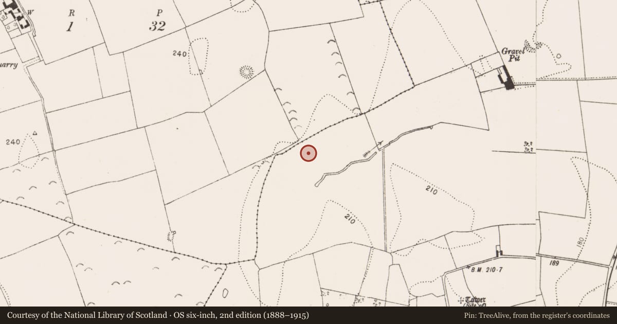 Ordnance Survey six-inch map, 2nd edition (1888–1915) covering the location of Burnt mound, Annamult, County Kilkenny, with a pin at the register's coordinates