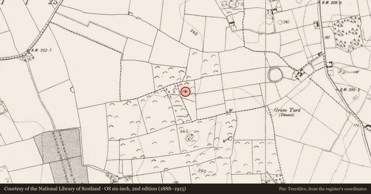 Ordnance Survey six-inch map, 2nd edition (1888–1915) covering the location of Burnt mound, Wallslough, County Kilkenny, with a pin at the register's coordinates