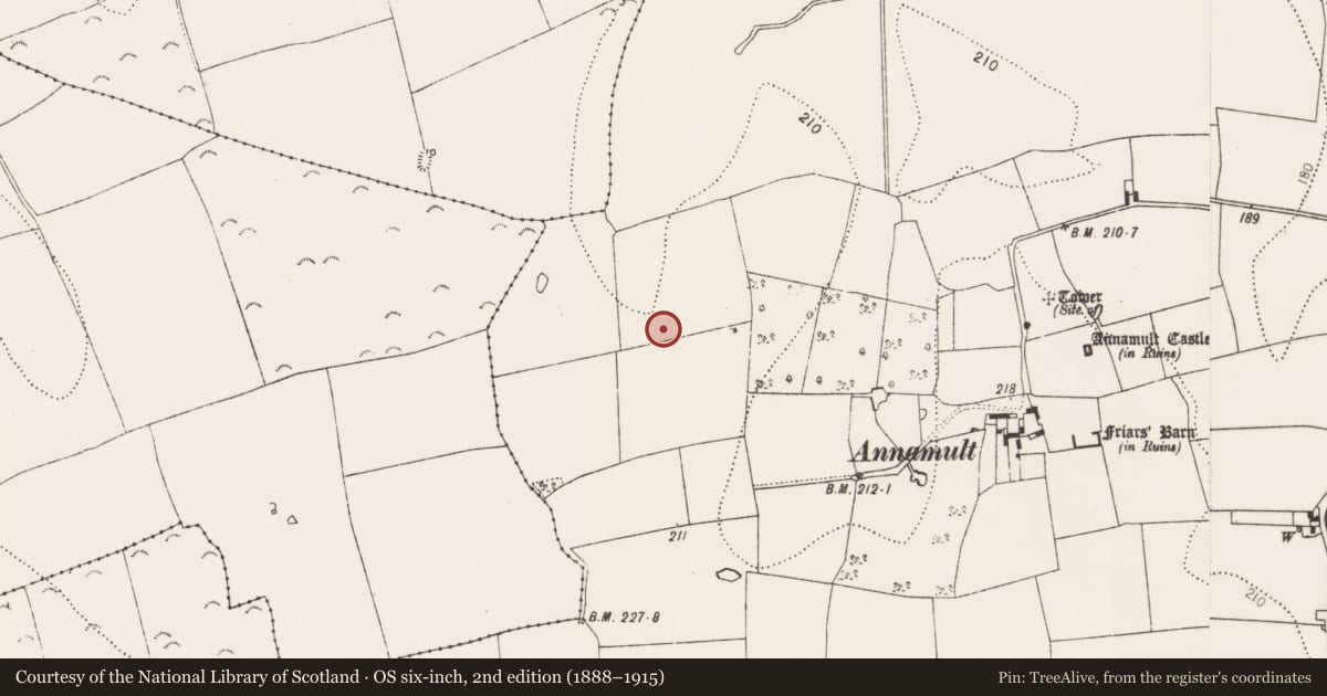 Ordnance Survey six-inch map, 2nd edition (1888–1915) covering the location of Enclosure, Annamult, County Kilkenny, with a pin at the register's coordinates