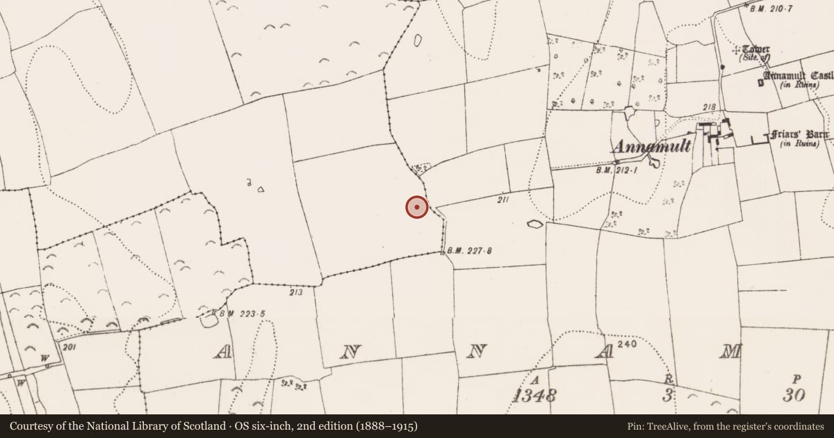 Ordnance Survey six-inch map, 2nd edition (1888–1915) covering the location of Enclosure, Annamult, County Kilkenny, with a pin at the register's coordinates