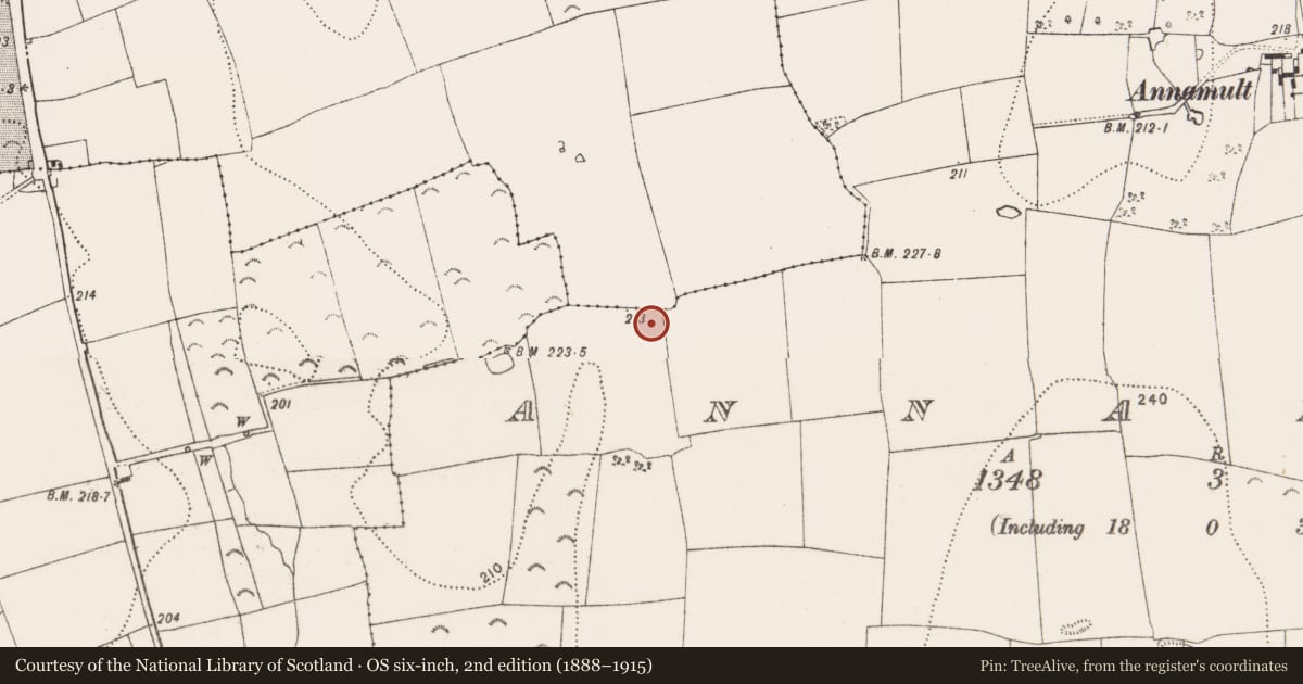 Ordnance Survey six-inch map, 2nd edition (1888–1915) covering the location of Quarry, Annamult, County Kilkenny, with a pin at the register's coordinates