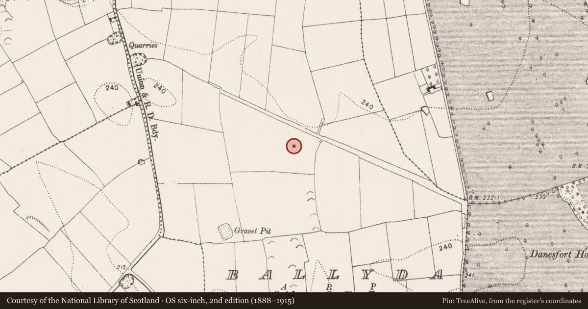 Ordnance Survey six-inch map, 2nd edition (1888–1915) covering the location of Ring-ditch, Ballyda, County Kilkenny, with a pin at the register's coordinates