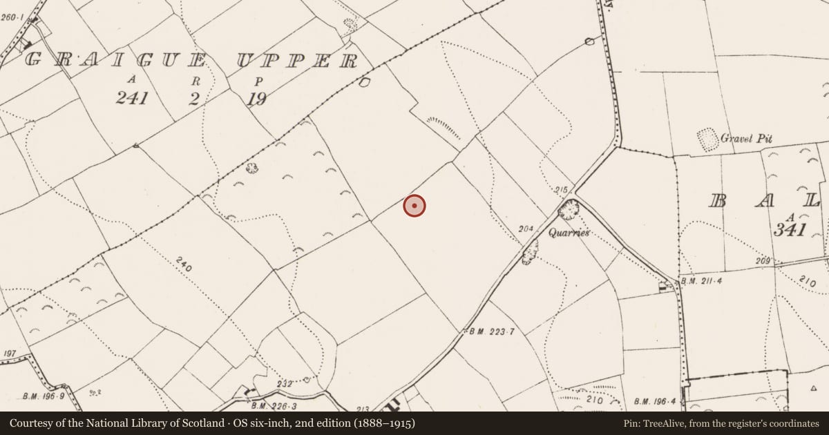 Ordnance Survey six-inch map, 2nd edition (1888–1915) covering the location of Ring-ditch, Cotterellsrath, County Kilkenny, with a pin at the register's coordinates