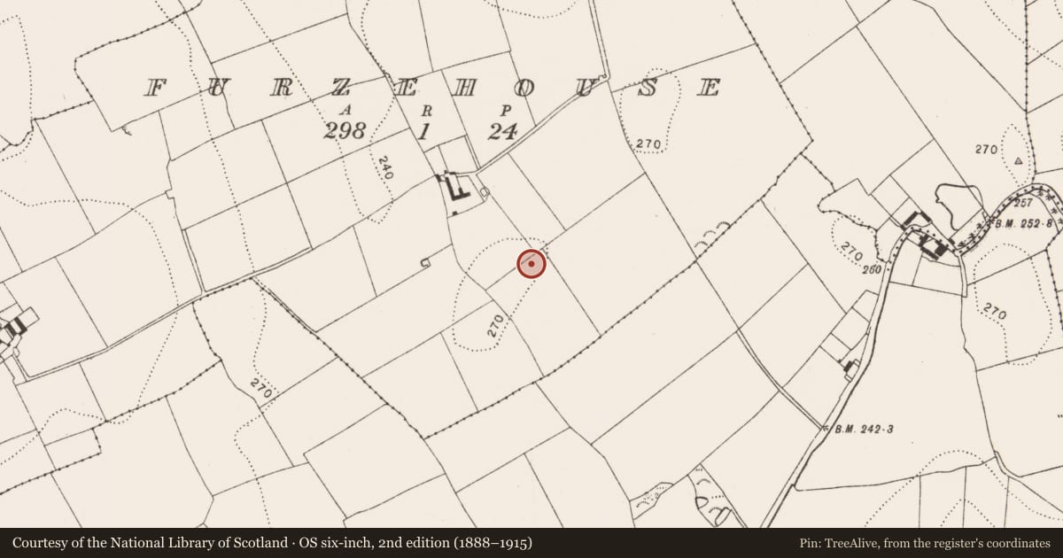 Ordnance Survey six-inch map, 2nd edition (1888–1915) covering the location of Enclosure, Furzehouse, County Kilkenny, with a pin at the register's coordinates