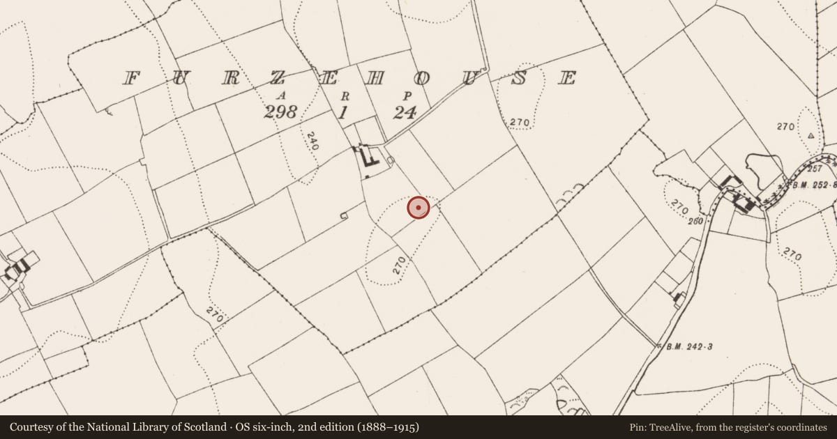 Ordnance Survey six-inch map, 2nd edition (1888–1915) covering the location of Enclosure, Furzehouse, County Kilkenny, with a pin at the register's coordinates