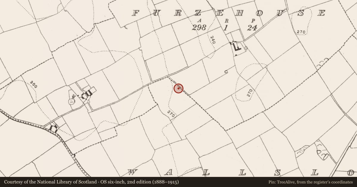 Ordnance Survey six-inch map, 2nd edition (1888–1915) covering the location of Enclosure, Furzehouse, Wallslough, County Kilkenny, with a pin at the register's coordinates