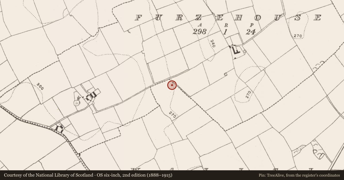 Ordnance Survey six-inch map, 2nd edition (1888–1915) covering the location of Field system, Wallslough, County Kilkenny, with a pin at the register's coordinates