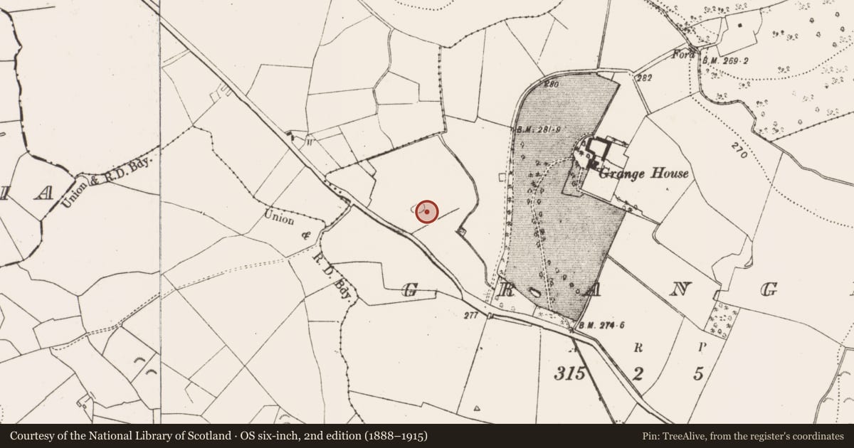 Ordnance Survey six-inch map, 2nd edition (1888–1915) covering the location of Enclosure, Grange, County Kilkenny, with a pin at the register's coordinates