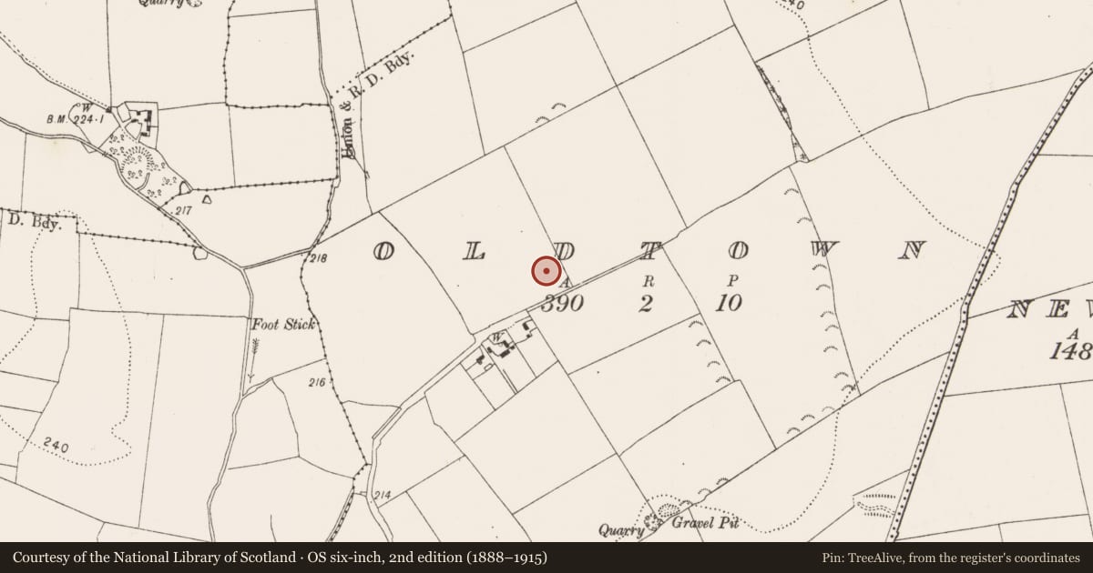 Ordnance Survey six-inch map, 2nd edition (1888–1915) covering the location of Enclosure, Oldtown, County Kilkenny, with a pin at the register's coordinates