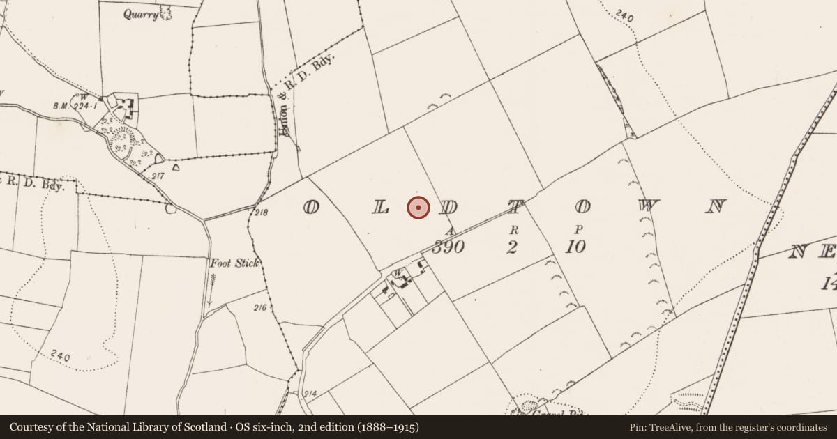 Ordnance Survey six-inch map, 2nd edition (1888–1915) covering the location of Field system, Oldtown, County Kilkenny, with a pin at the register's coordinates