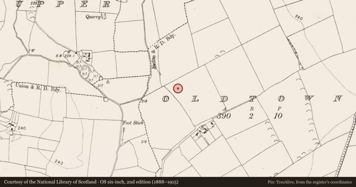 Ordnance Survey six-inch map, 2nd edition (1888–1915) covering the location of Enclosure, Oldtown, County Kilkenny, with a pin at the register's coordinates