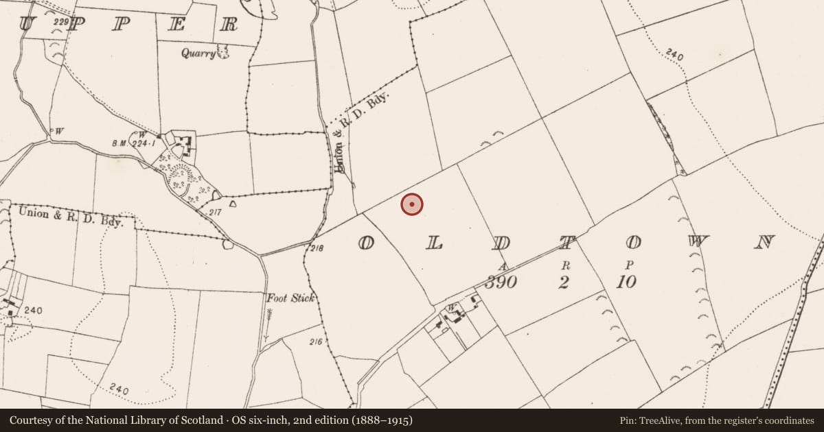 Ordnance Survey six-inch map, 2nd edition (1888–1915) covering the location of Field system, Oldtown, County Kilkenny, with a pin at the register's coordinates