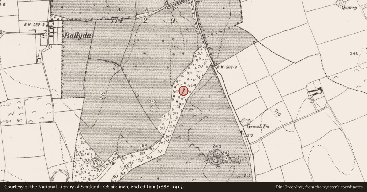 Ordnance Survey six-inch map, 2nd edition (1888–1915) covering the location of Fulacht fia, Danesfort, County Kilkenny, with a pin at the register's coordinates