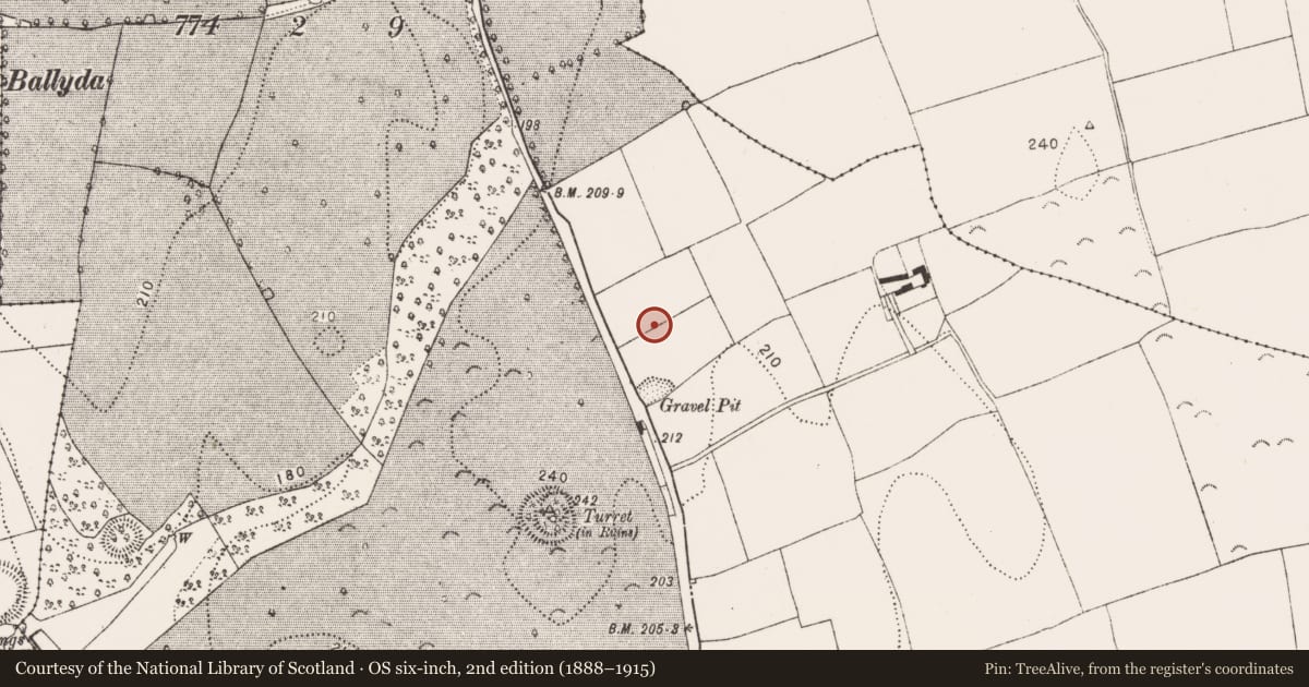 Ordnance Survey six-inch map, 2nd edition (1888–1915) covering the location of Ring-ditch, Danesfort, County Kilkenny, with a pin at the register's coordinates
