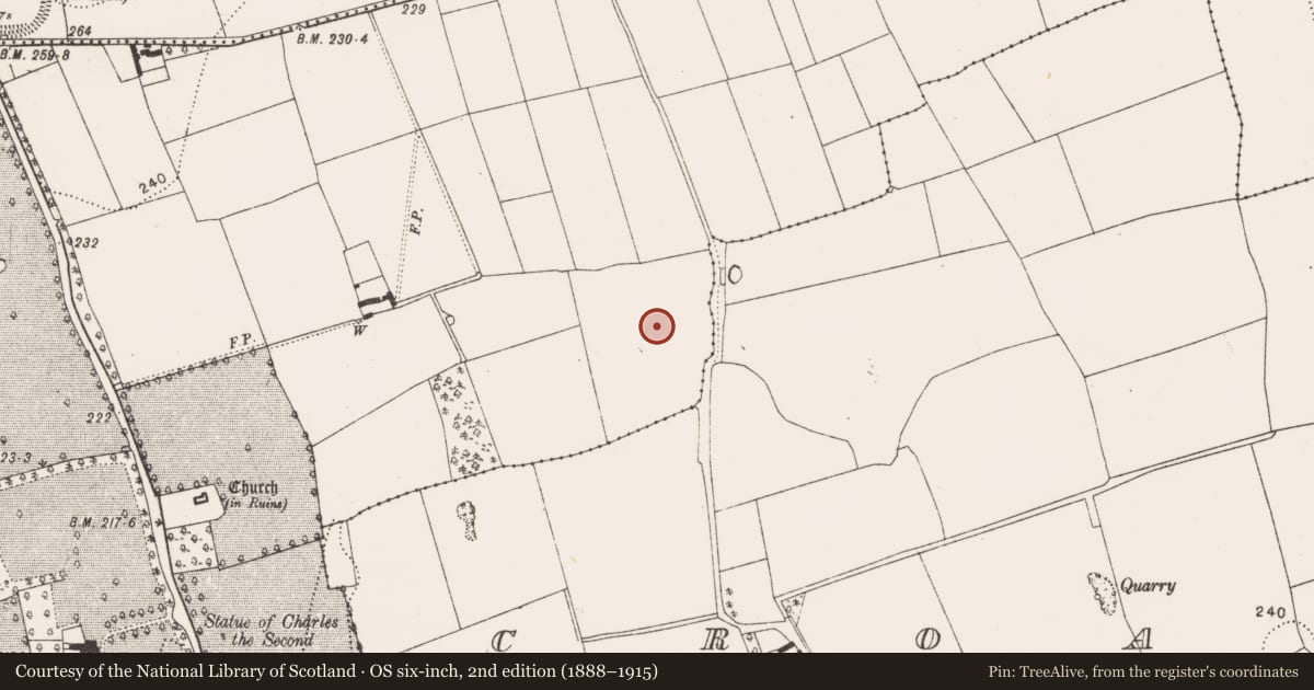 Ordnance Survey six-inch map, 2nd edition (1888–1915) covering the location of House - Bronze Age, Danesfort, County Kilkenny, with a pin at the register's coordinates