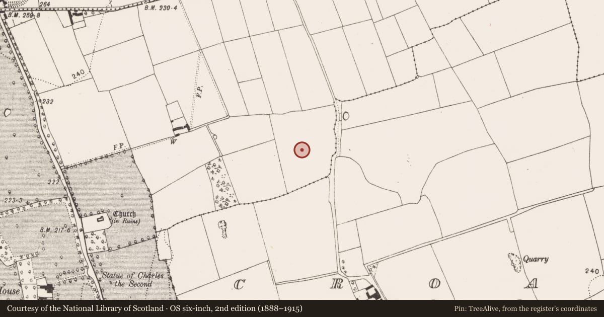 Ordnance Survey six-inch map, 2nd edition (1888–1915) covering the location of House - Bronze Age, Danesfort, County Kilkenny, with a pin at the register's coordinates