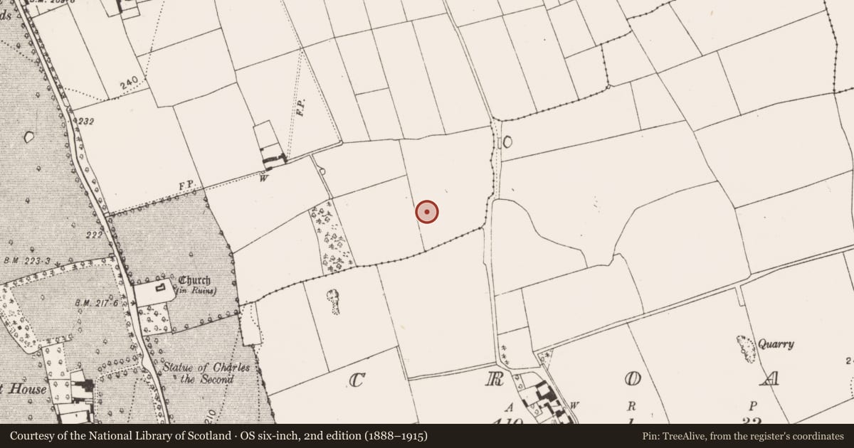 Ordnance Survey six-inch map, 2nd edition (1888–1915) covering the location of House - Bronze Age, Danesfort, County Kilkenny, with a pin at the register's coordinates