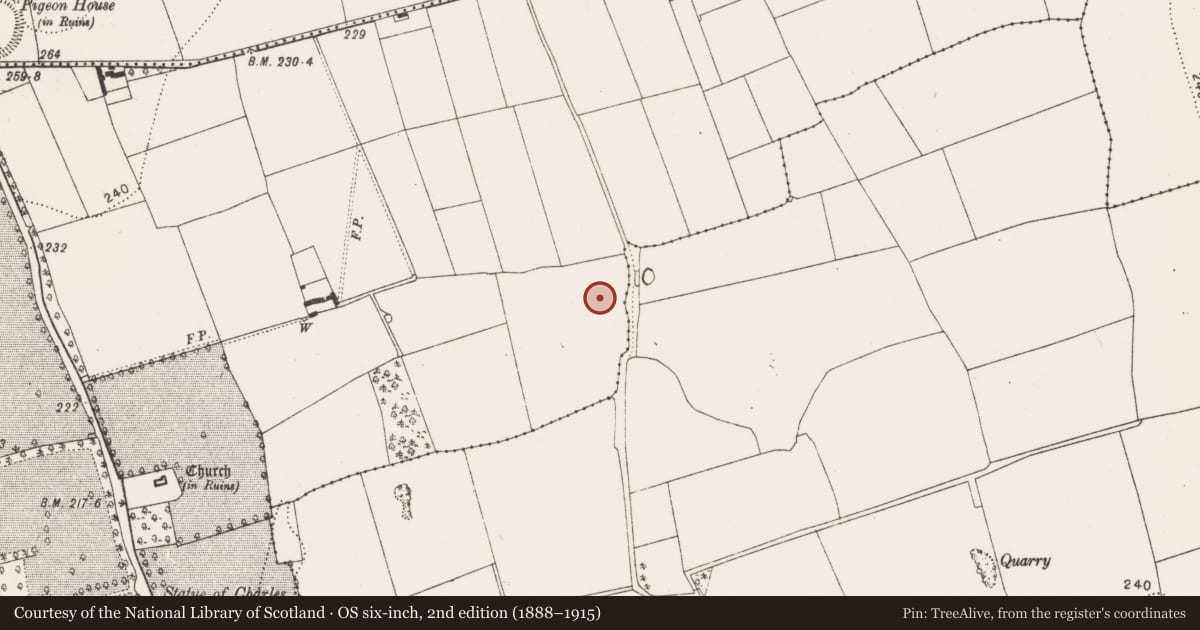 Ordnance Survey six-inch map, 2nd edition (1888–1915) covering the location of Metalworking site, Danesfort, County Kilkenny, with a pin at the register's coordinates