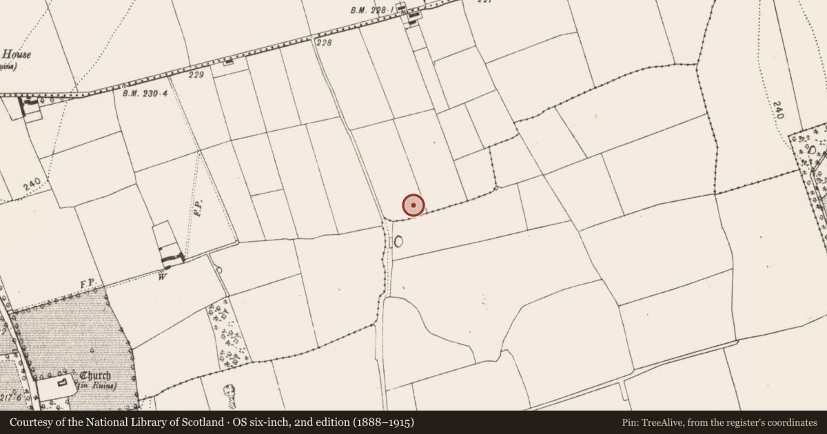 Ordnance Survey six-inch map, 2nd edition (1888–1915) covering the location of Pit-burial, Danesfort, County Kilkenny, with a pin at the register's coordinates