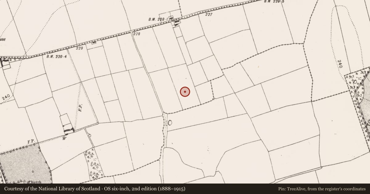 Ordnance Survey six-inch map, 2nd edition (1888–1915) covering the location of Pit-burial, Danesfort, County Kilkenny, with a pin at the register's coordinates