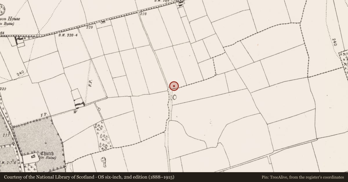 Ordnance Survey six-inch map, 2nd edition (1888–1915) covering the location of Building, Danesfort, County Kilkenny, with a pin at the register's coordinates