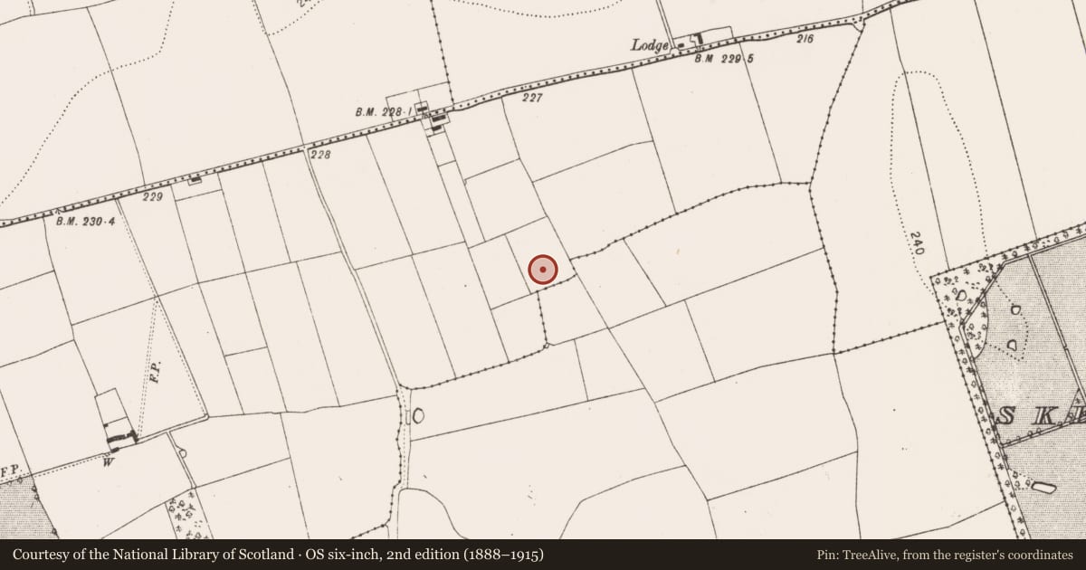 Ordnance Survey six-inch map, 2nd edition (1888–1915) covering the location of Excavation - miscellaneous, Danesfort, County Kilkenny, with a pin at the register's coordinates