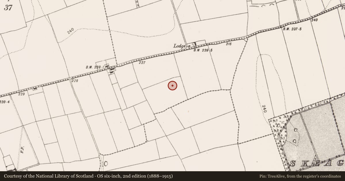 Ordnance Survey six-inch map, 2nd edition (1888–1915) covering the location of Excavation - miscellaneous, Danesfort, County Kilkenny, with a pin at the register's coordinates