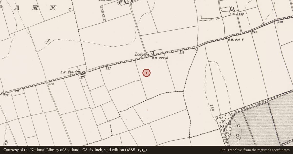 Ordnance Survey six-inch map, 2nd edition (1888–1915) covering the location of Structure, Danesfort, County Kilkenny, with a pin at the register's coordinates