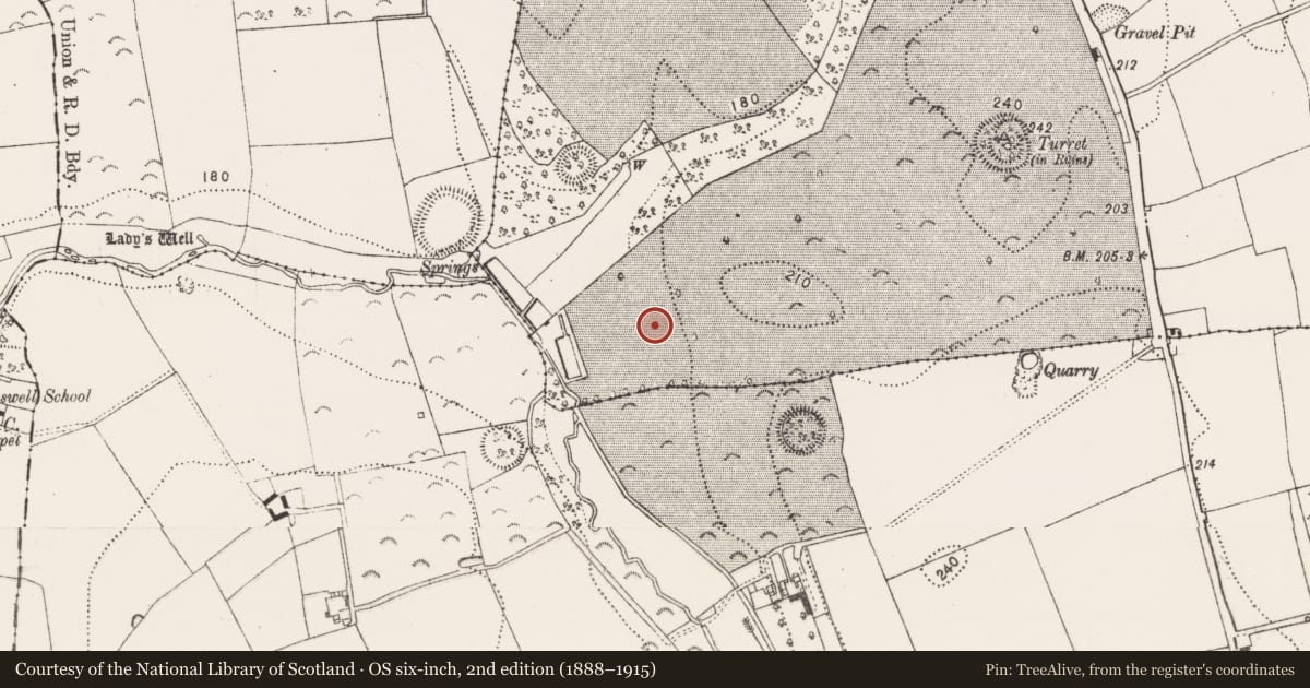Ordnance Survey six-inch map, 2nd edition (1888–1915) covering the location of Furnace, Danesfort, County Kilkenny, with a pin at the register's coordinates