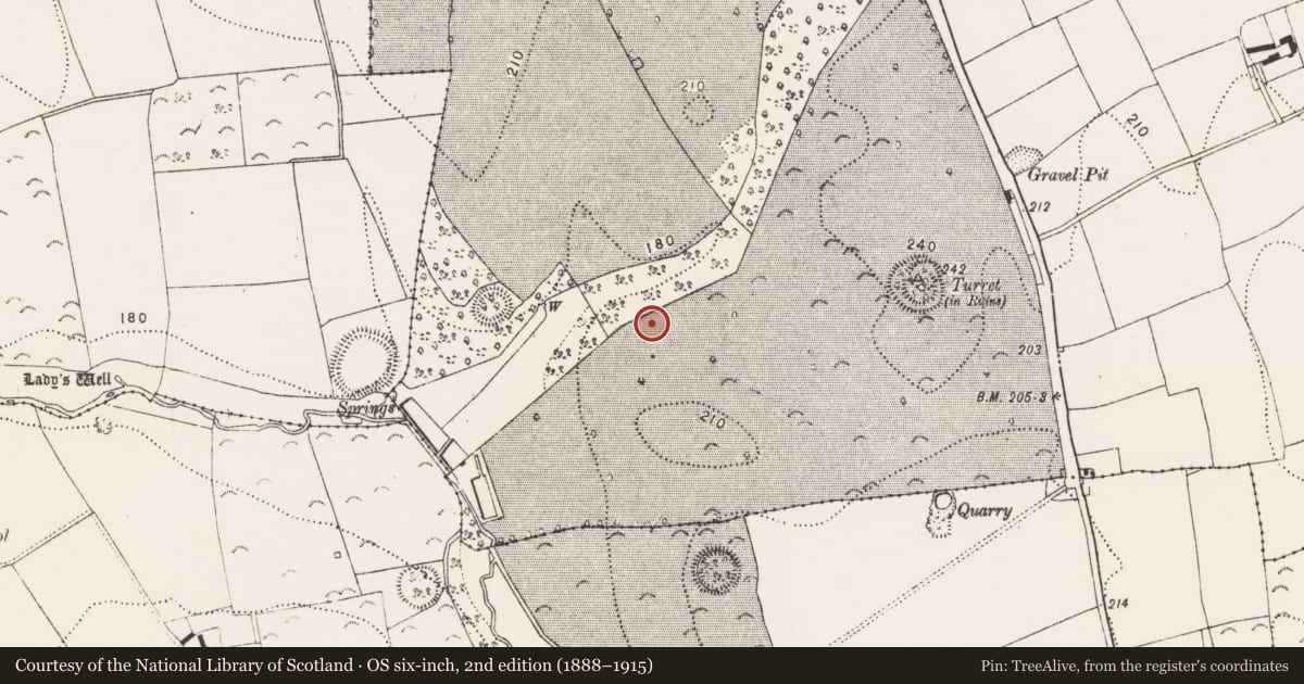 Ordnance Survey six-inch map, 2nd edition (1888–1915) covering the location of Excavation - miscellaneous, Danesfort, County Kilkenny, with a pin at the register's coordinates