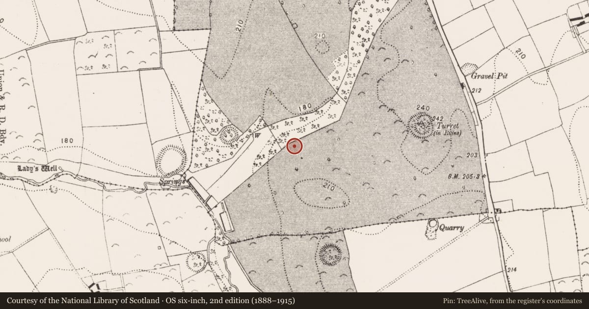 Ordnance Survey six-inch map, 2nd edition (1888–1915) covering the location of Ring-ditch, Danesfort, County Kilkenny, with a pin at the register's coordinates