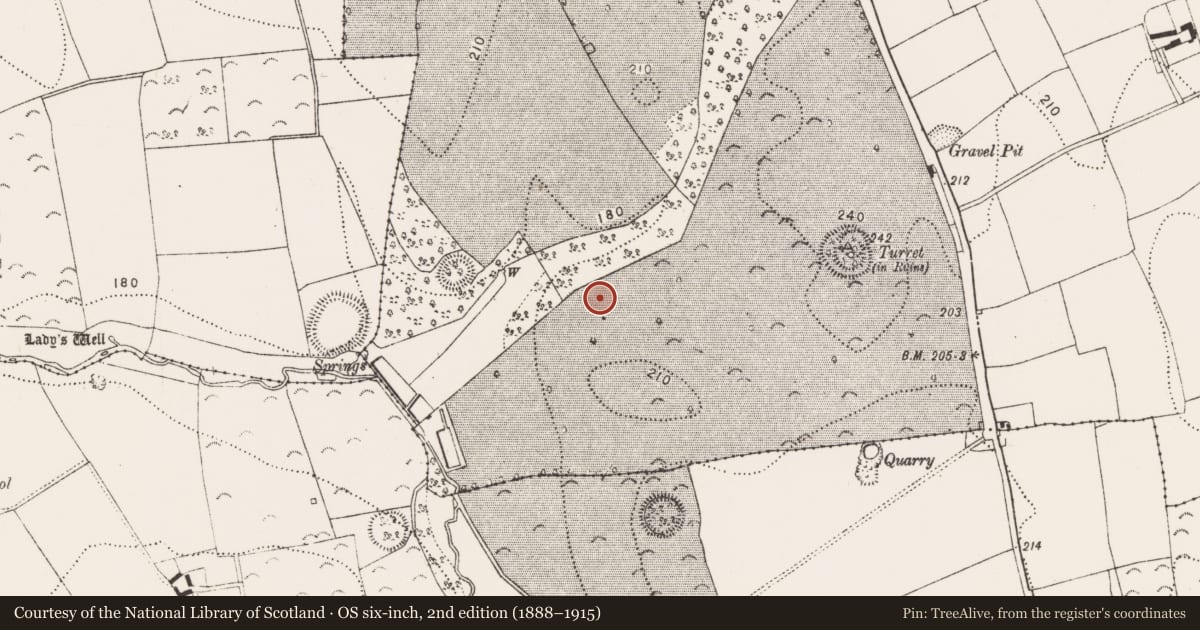 Ordnance Survey six-inch map, 2nd edition (1888–1915) covering the location of Field boundary, Danesfort, County Kilkenny, with a pin at the register's coordinates
