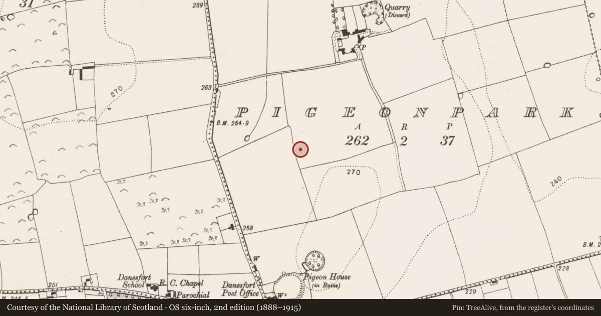 Ordnance Survey six-inch map, 2nd edition (1888–1915) covering the location of Enclosure, Pigeonpark, County Kilkenny, with a pin at the register's coordinates