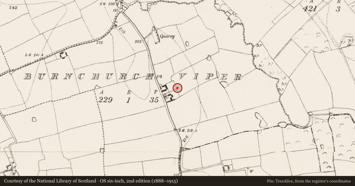 Ordnance Survey six-inch map, 2nd edition (1888–1915) covering the location of Concentric enclosure, Burnchurch Viper, County Kilkenny, with a pin at the register's coordinates