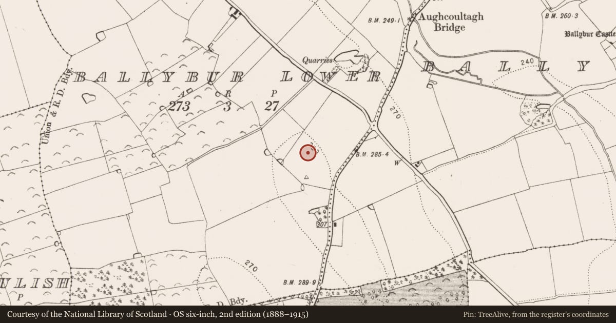 Ordnance Survey six-inch map, 2nd edition (1888–1915) covering the location of Enclosure, Ballybur Lower, County Kilkenny, with a pin at the register's coordinates