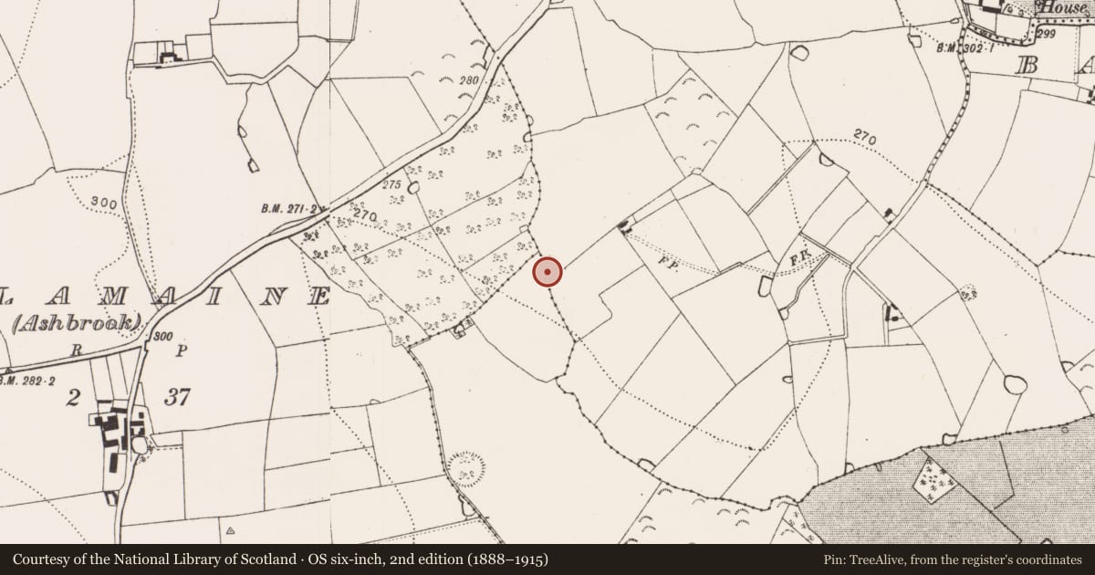 Ordnance Survey six-inch map, 2nd edition (1888–1915) covering the location of Enclosure, Ballymack (Desart), Newtown (Baker), County Kilkenny, with a pin at the register's coordinates