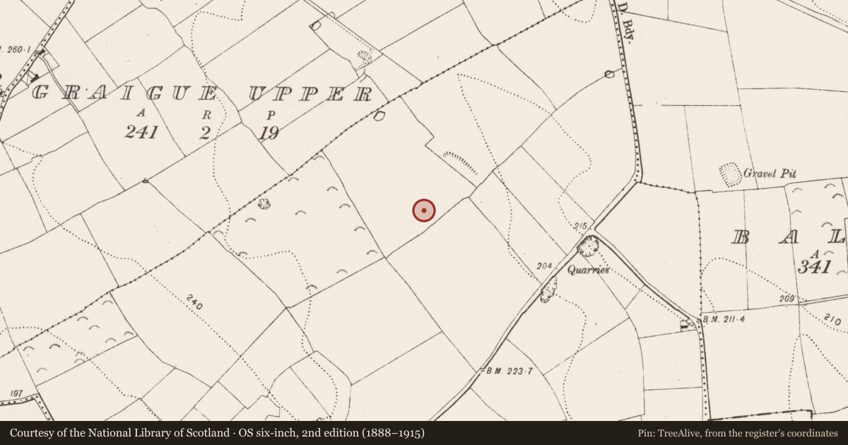 Ordnance Survey six-inch map, 2nd edition (1888–1915) covering the location of Ring-ditch, Cotterellsrath, County Kilkenny, with a pin at the register's coordinates