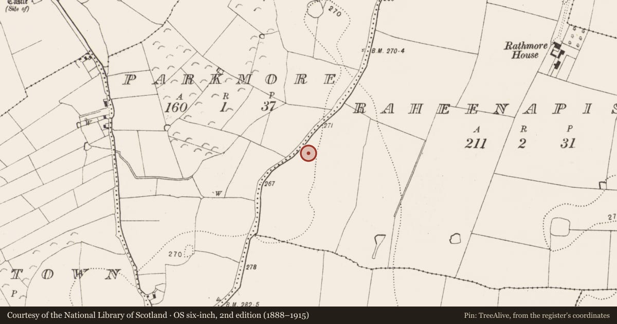 Ordnance Survey six-inch map, 2nd edition (1888–1915) covering the location of Kiln - corn-drying, Raheenapisha, County Kilkenny, with a pin at the register's coordinates