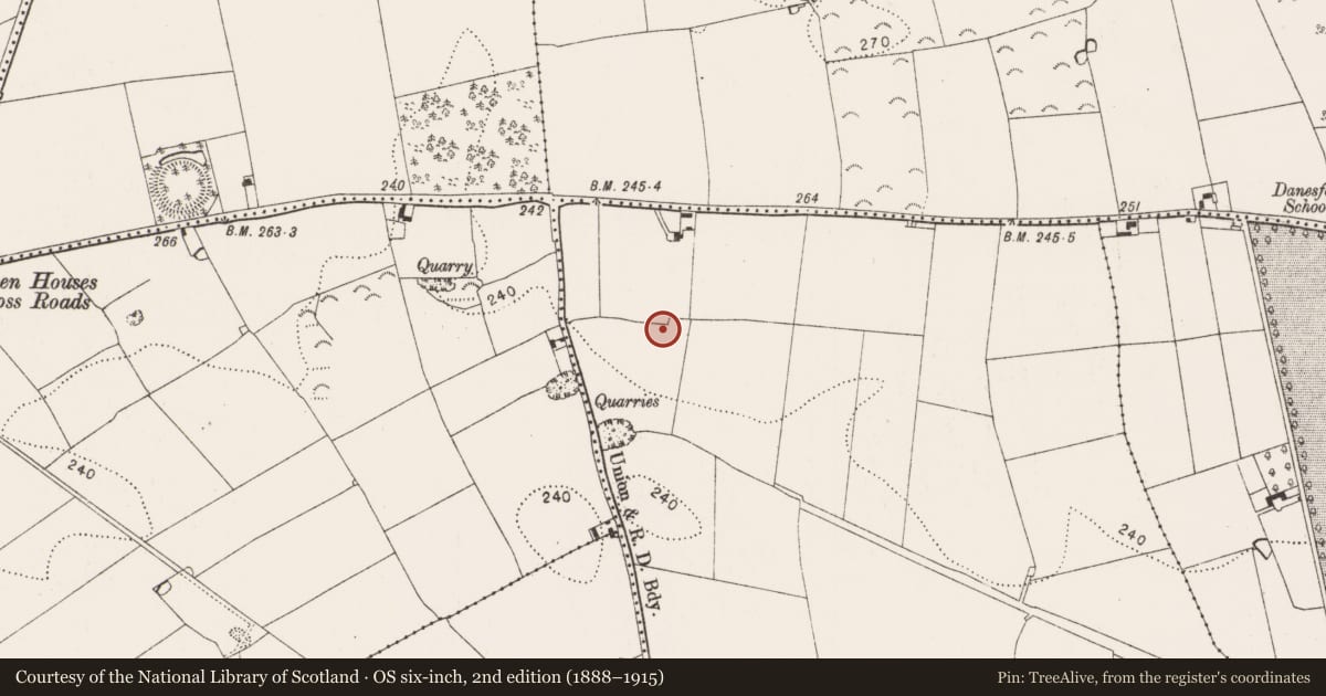 Ordnance Survey six-inch map, 2nd edition (1888–1915) covering the location of Ring-ditch, Ballyda, County Kilkenny, with a pin at the register's coordinates