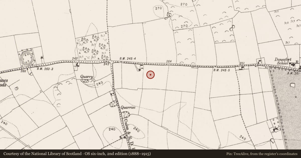 Ordnance Survey six-inch map, 2nd edition (1888–1915) covering the location of Ring-ditch, Ballyda, County Kilkenny, with a pin at the register's coordinates