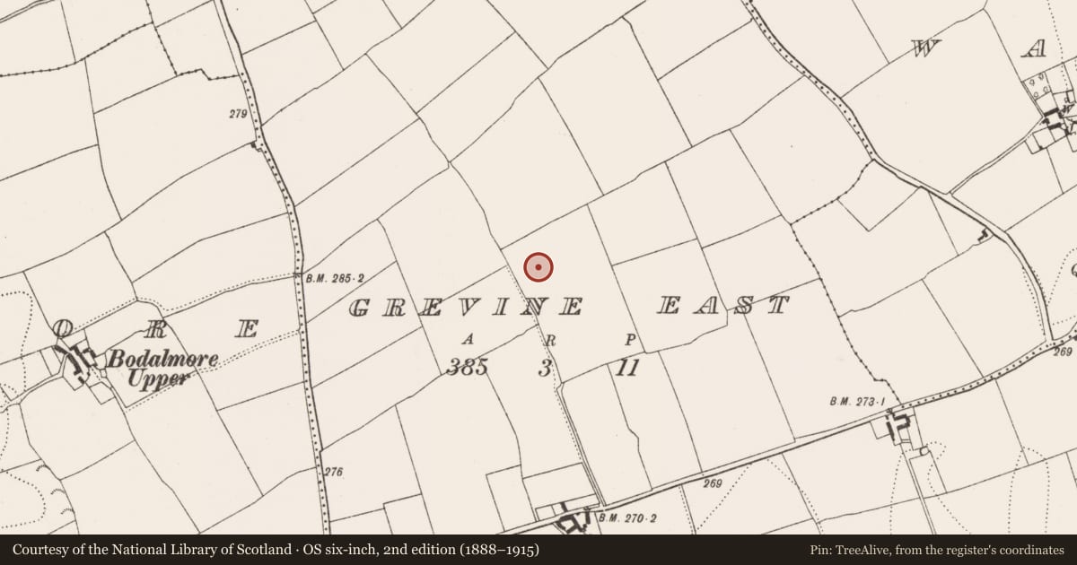 Ordnance Survey six-inch map, 2nd edition (1888–1915) covering the location of Ring-ditch, Grevine East, County Kilkenny, with a pin at the register's coordinates