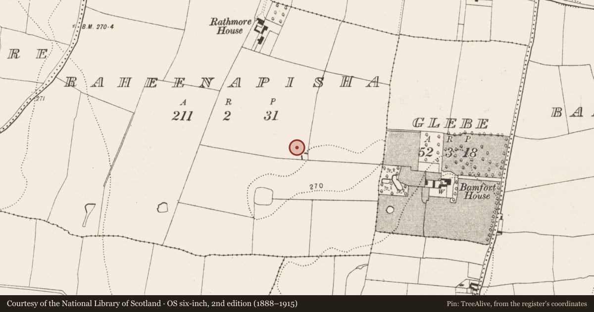 Ordnance Survey six-inch map, 2nd edition (1888–1915) covering the location of Enclosure, Raheenapisha, County Kilkenny, with a pin at the register's coordinates