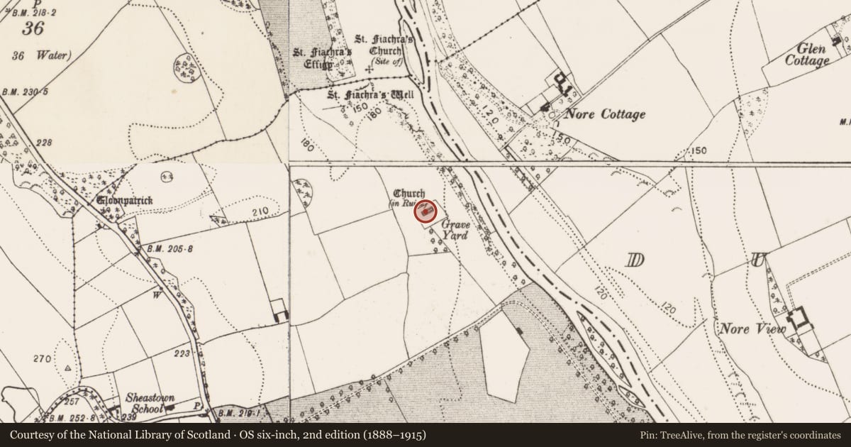 Ordnance Survey six-inch map, 2nd edition (1888–1915) covering the location of Church, Sheastown, County Kilkenny, with a pin at the register's coordinates