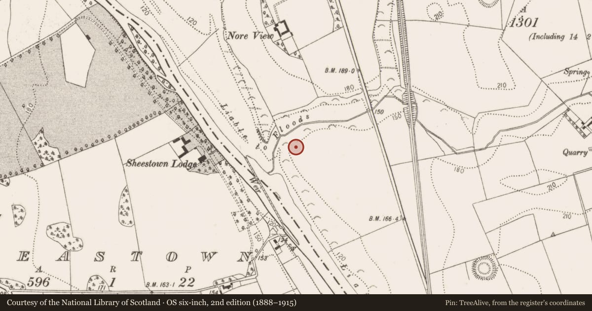 Ordnance Survey six-inch map, 2nd edition (1888–1915) covering the location of Enclosure, Dunbell Big, County Kilkenny, with a pin at the register's coordinates