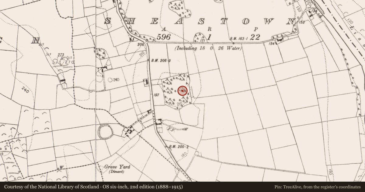 Ordnance Survey six-inch map, 2nd edition (1888–1915) covering the location of Enclosure, Sheastown, County Kilkenny, with a pin at the register's coordinates
