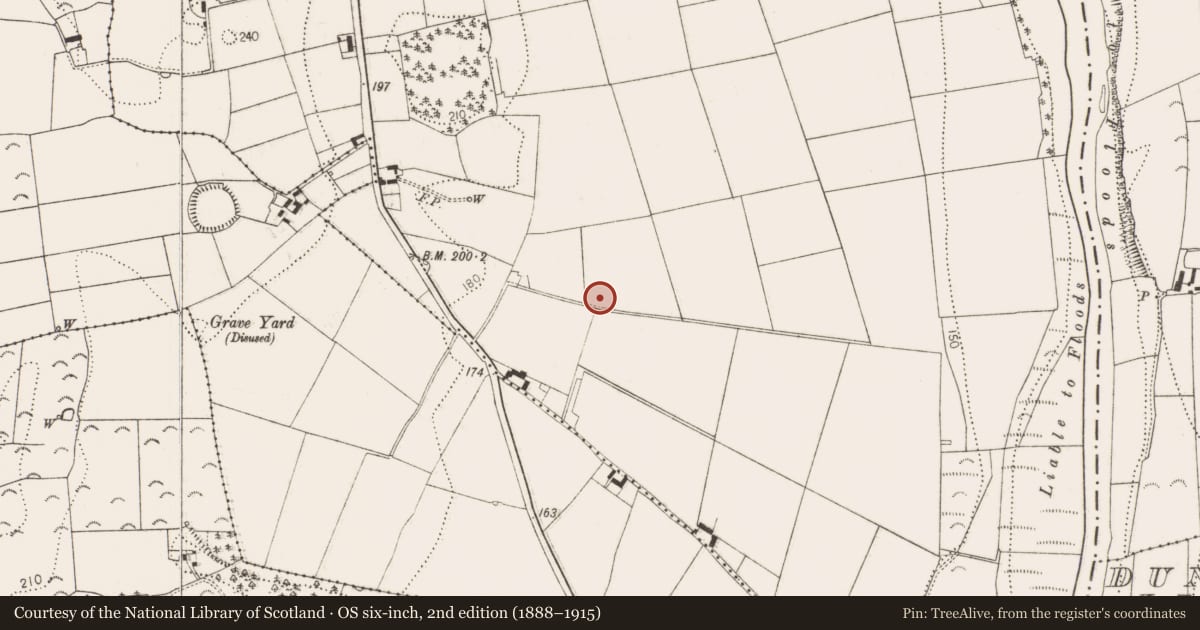 Ordnance Survey six-inch map, 2nd edition (1888–1915) covering the location of Enclosure, Sheastown, County Kilkenny, with a pin at the register's coordinates