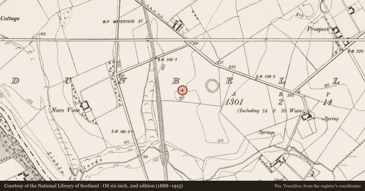 Ordnance Survey six-inch map, 2nd edition (1888–1915) covering the location of Souterrain, Dunbell Big, County Kilkenny, with a pin at the register's coordinates